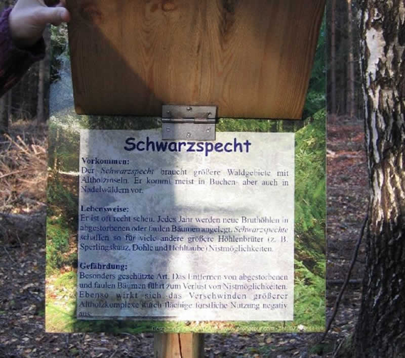 Naturerlebnisweg Weltkugel in Groß Gerungs