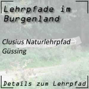 Lehrpfad Güssing Naturlehrpfad