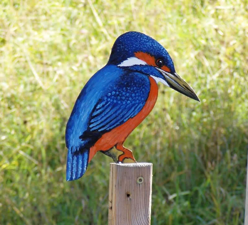 1. M&uuml;hlviertler Vogelkundeweg in Gutau