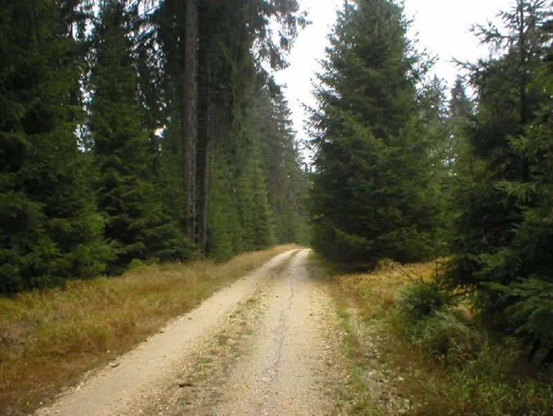 Antistress-Weg Gutenbrunn Niederösterreich