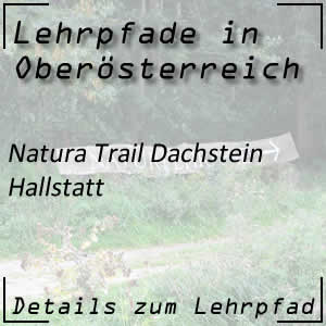 Natura Trail Dachstein bei Hallstatt