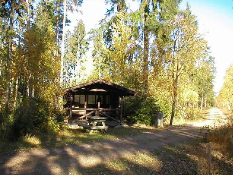 Moorlehrpfad in Heidenreichstein