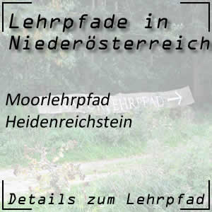 Moorlehrpfad in Heidenreichstein