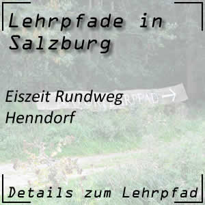 Eiszeit-Rundweg in Henndorf