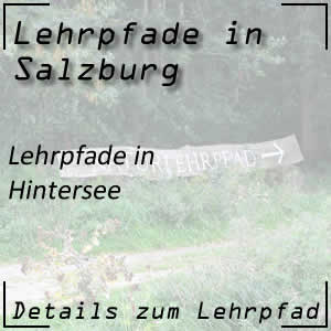 Lehrpfade in Hintersee