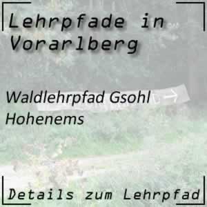 Lehrpfad Hohenems Waldlehrpfad Gsohl