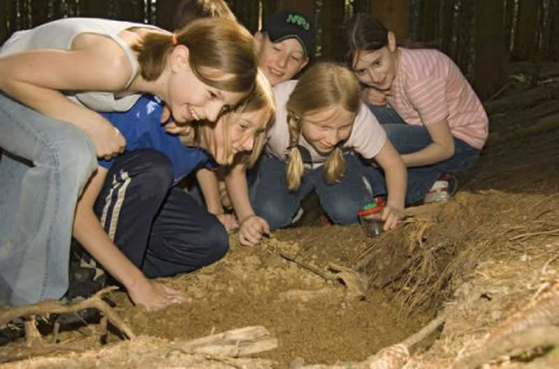 Schatzsuche bei Hollenstein an der Ybbs