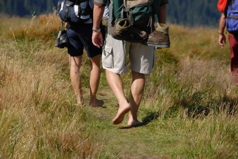 Gipfel-Barfuß-Weg in Irdning-Donnersbachtal