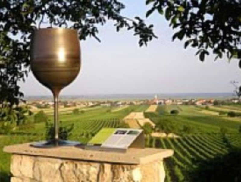 Weinlehrpfad bei Jois im Burgenland