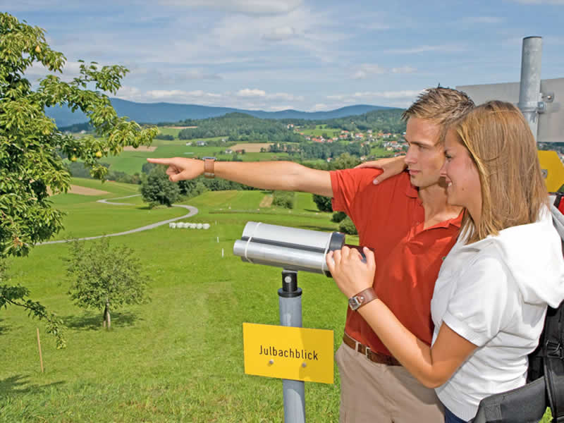 Lehrpfad Guckerweg in Julbach