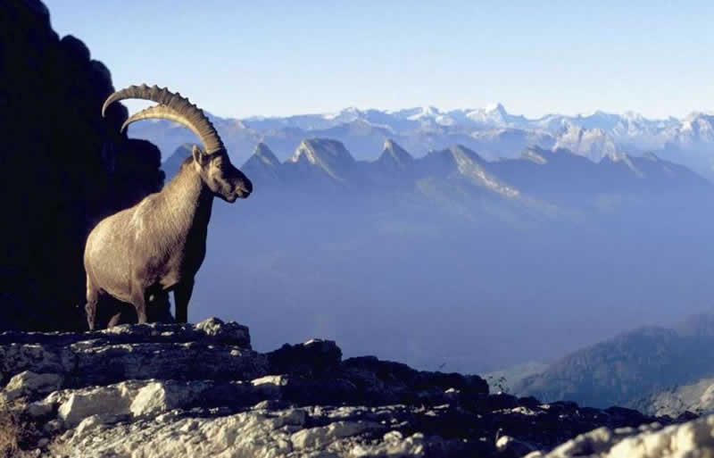 Lehrpfad Glocknerspur bei Kals am Großglockner