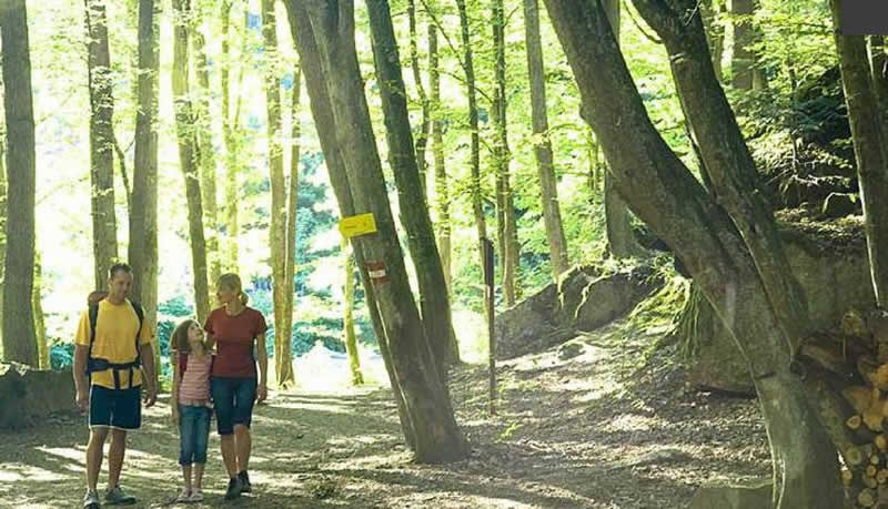 Naturlehrpfad Pienkenhof in Kefermarkt