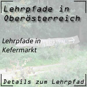 Lehrpfade in Kefermarkt