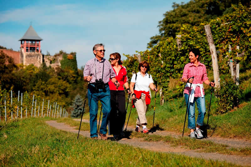 Kl&ouml;cher Traminerweg in Kl&ouml;ch