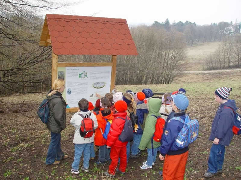 Lehrpfad im Lainzer Tiergarten beim Nikolaitor