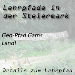 GeoPfad Gams in Landl