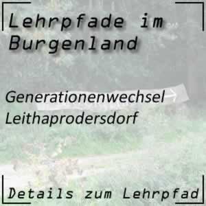 Lehrpfad Leithaprodersdorf Generationenwechsel