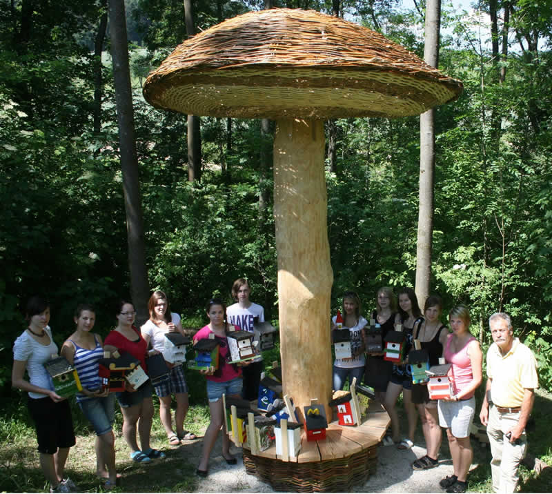 Waldlehrpfad in Linz