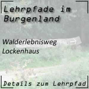 Lehrpfad Lockenhaus Walderlebnisweg