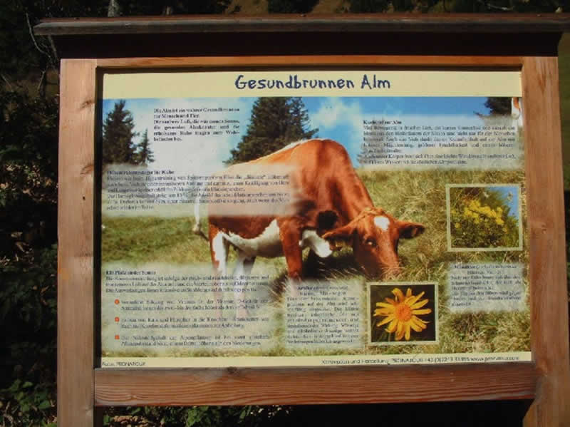 Lehrpfad Auf die Alm in Lofer