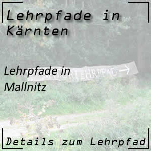 Lehrpfade bei Mallnitz