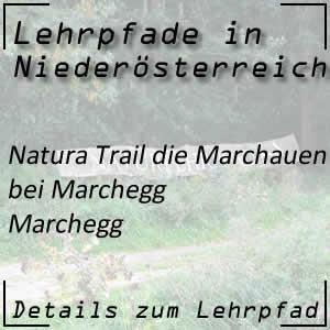 Natura Trail die Marchauen bei Marchegg