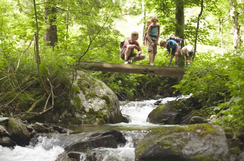 Wildwasserpfad in Mariensee