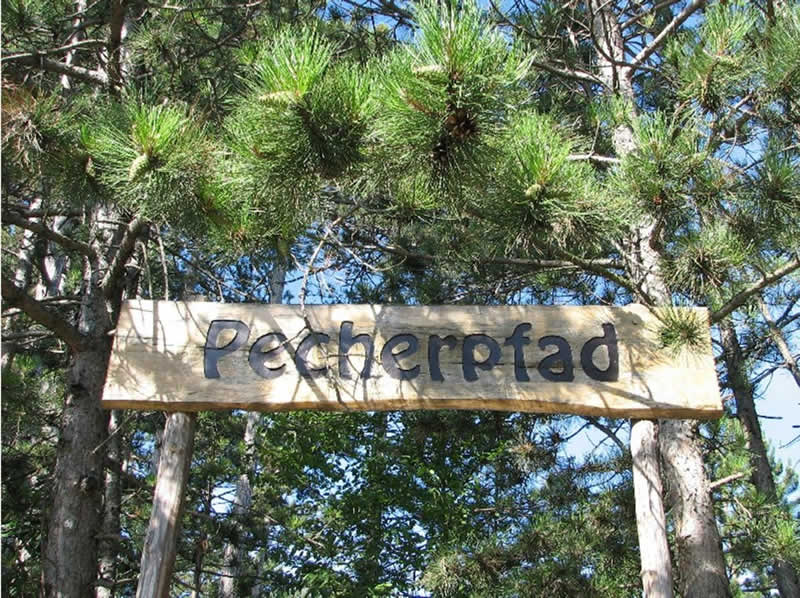 Pecherpfad H&ouml;lles in Matzendorf