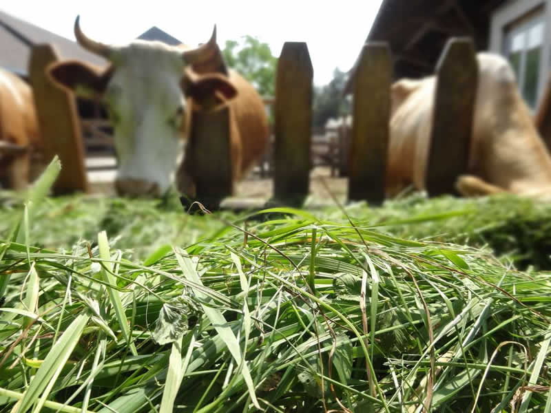 Lisilis Rundgang - Lehrpfad &uuml;ber Bioprodukte