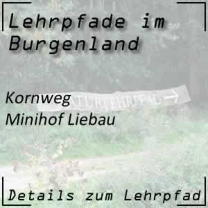 Lehrpfad Minihof-Liebau Kornweg