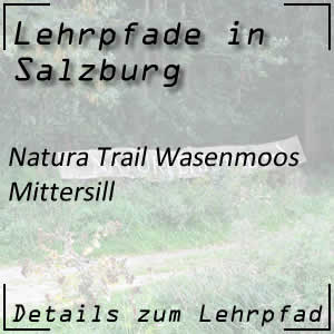 Natura Trail Wasenmoos in Mittersill