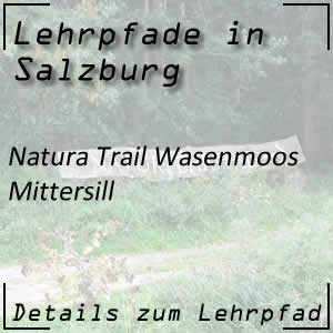 Natura Trail Wasenmoos in Mittersill