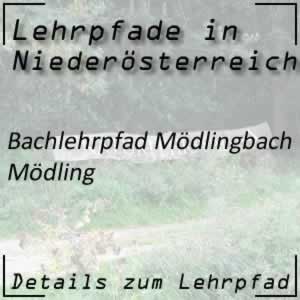 Lehrpfad Mödling Bachlehrpfad Mödlingbach