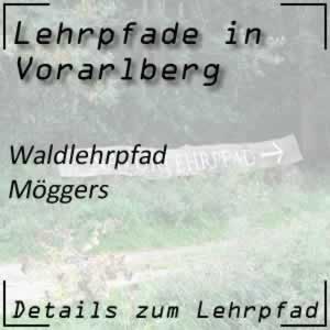 Lehrpfad Möggers Walderlebnispfad