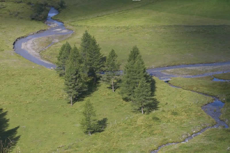 Naturlehrweg Astner Moor bei Mörtschach Kärnten