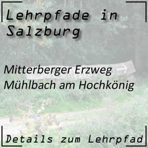 Mitterberger Erzweg in Mühlbach am Hochkönig
