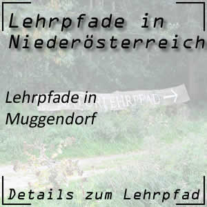 Lehrpfade in Muggendorf