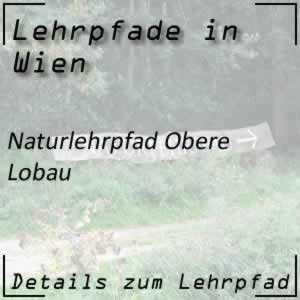 Naturlehrpfad Obere Lobau Wien