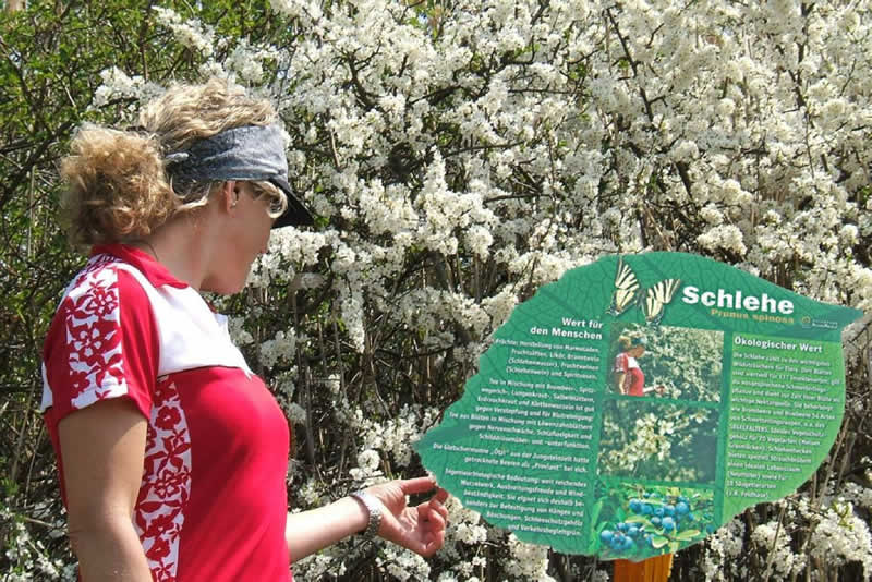 Ökolehrpark in Altenberg an der Rax