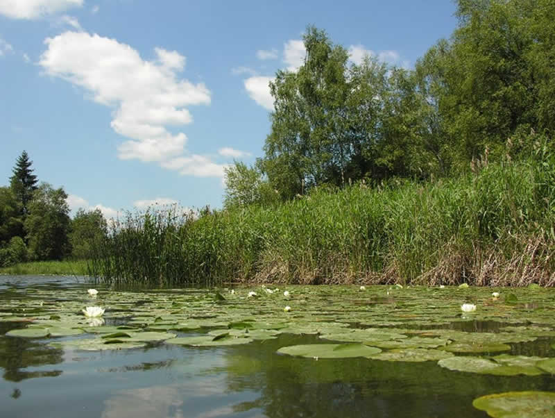 Lehrpfad Furtnerteich in Mariahof / Neumarkt in der Steiermark