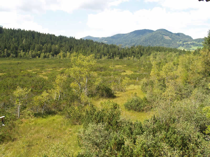 Lehrpfad Dürnberger Moor in Mariahof