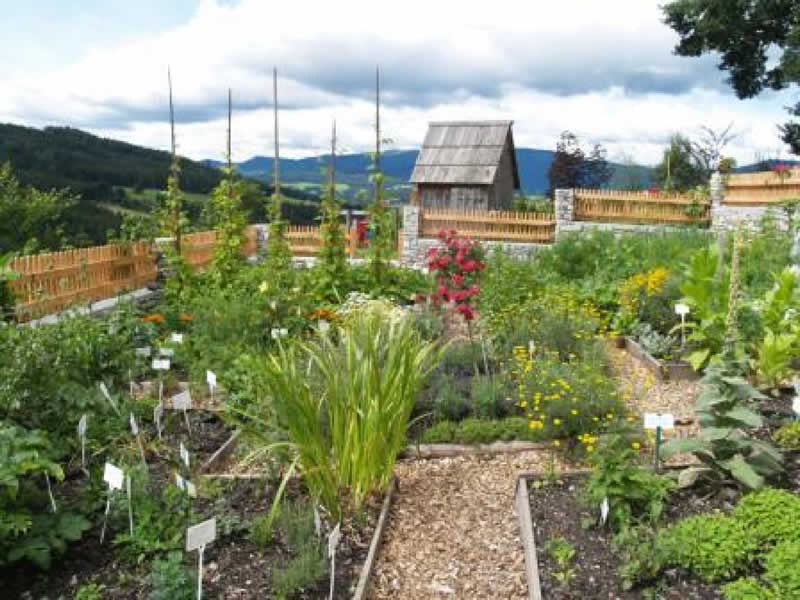 Lehrpfad in Perchau / Neumarkt in der Steiermark