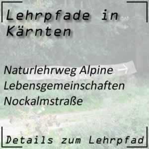 Lehrpfad Nockalmstraße Alpine Lebensgemeinschaften