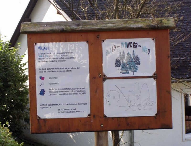 Wald-Wunder-Weg in Oberkappel