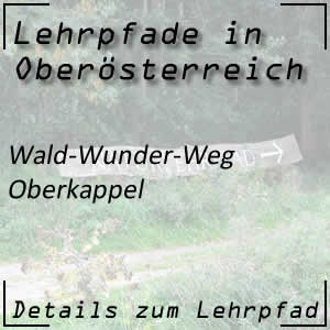 Wald-Wunder-Weg in Oberkappel