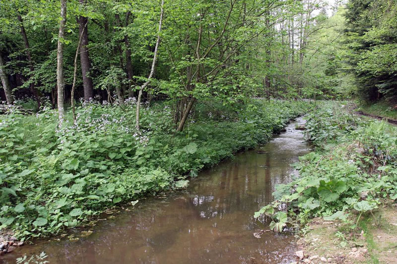 Lehrpfad Willersdorfer Schlucht bei Oberschützen