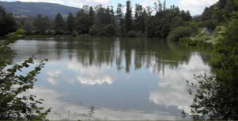 Naturlehrpfad im Pöllauer Tal Winzendorf