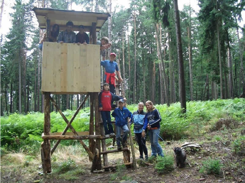 Waldweg in Premstätten