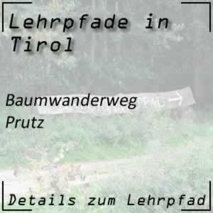 Lehrpfad Prutz Baumwanderweg