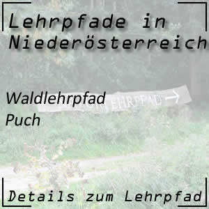 Waldlehrpfad in Puch bei Hollabrunn